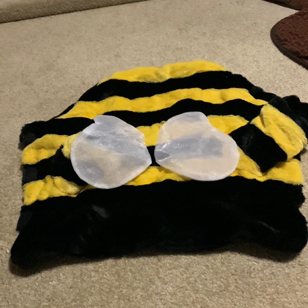 Fits small dog
